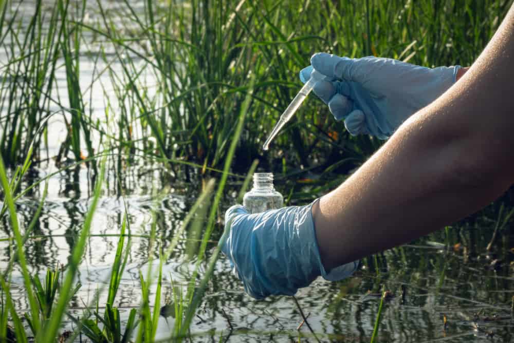 التلوث الكيميائي - شخص يأخذ عينة من النهر