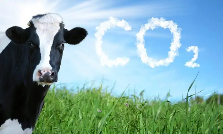 الغلاف الحيوي - صورة لبقرة في الحقل و كلمة CO2 مكتوبة بالسماء