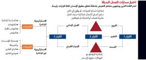 انتهاكات حقوق الإنسان - اختيار مسارات العمل البديلة