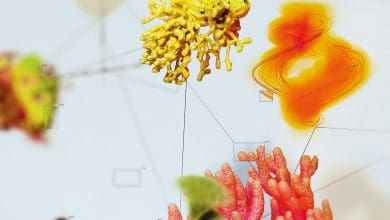 أكبر شركات الذكاء الاصطناعي